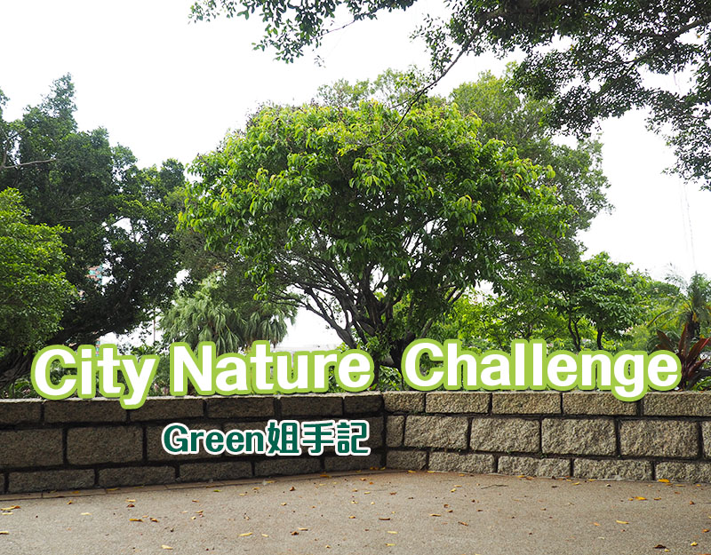 City Nature Challenge