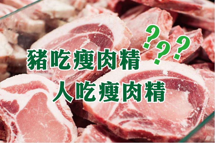 豬吃瘦肉精，人吃瘦肉精