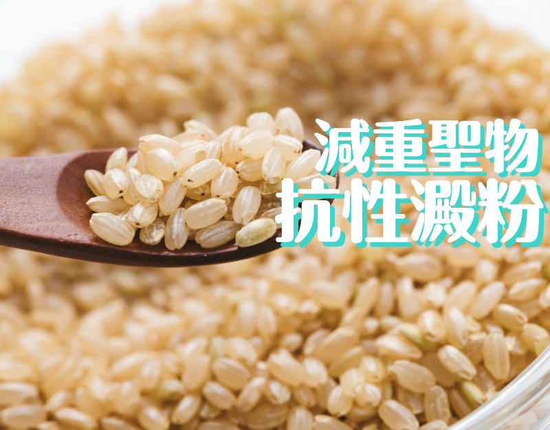 減重聖物－抗性澱粉