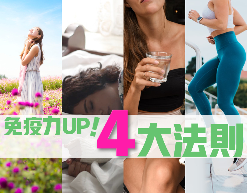 免疫力UP！4大法則