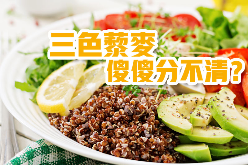三色藜麥傻傻分不清？
