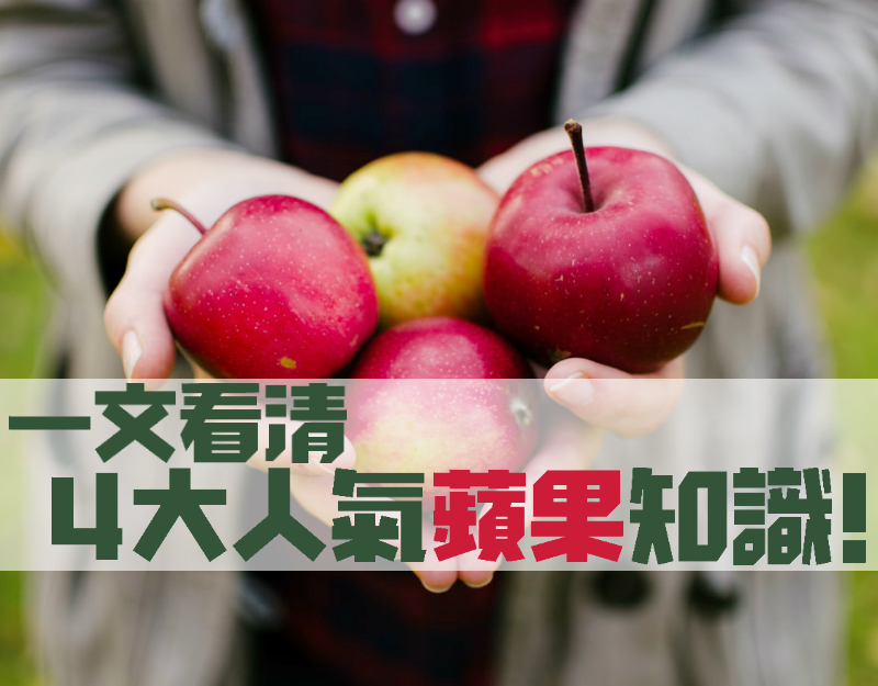 一文看清4大人氣蘋果知識！ 兩大「蘋果之鄉」加拿大及紐西蘭大解究